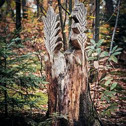 Forêt des souches sculptées
