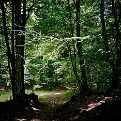 Branchée !