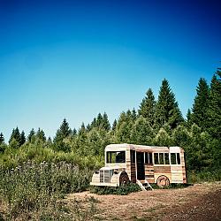Magic Bus